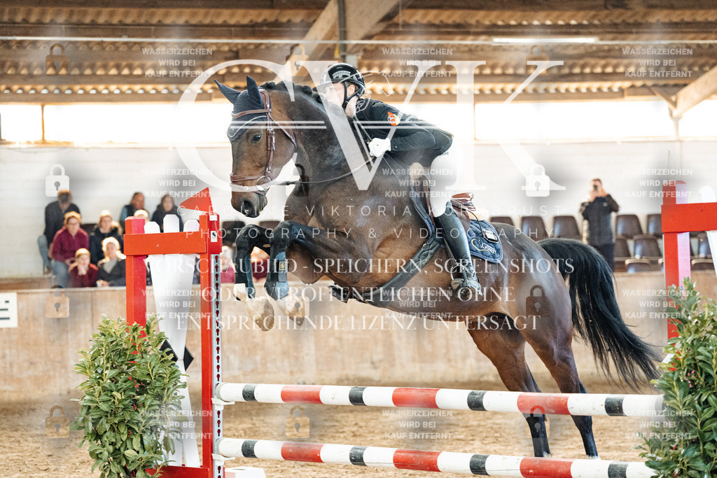CK904575 | Turnierfotografie Pferdefotografie Trier Rheinland-Pfalz Pferdesport Reitsport Tierfotografie Sportfotografie Pferdevideo Pferdevideografie Equestrianvideography equestrianphotography  - Realisiert mit Pictrs.com