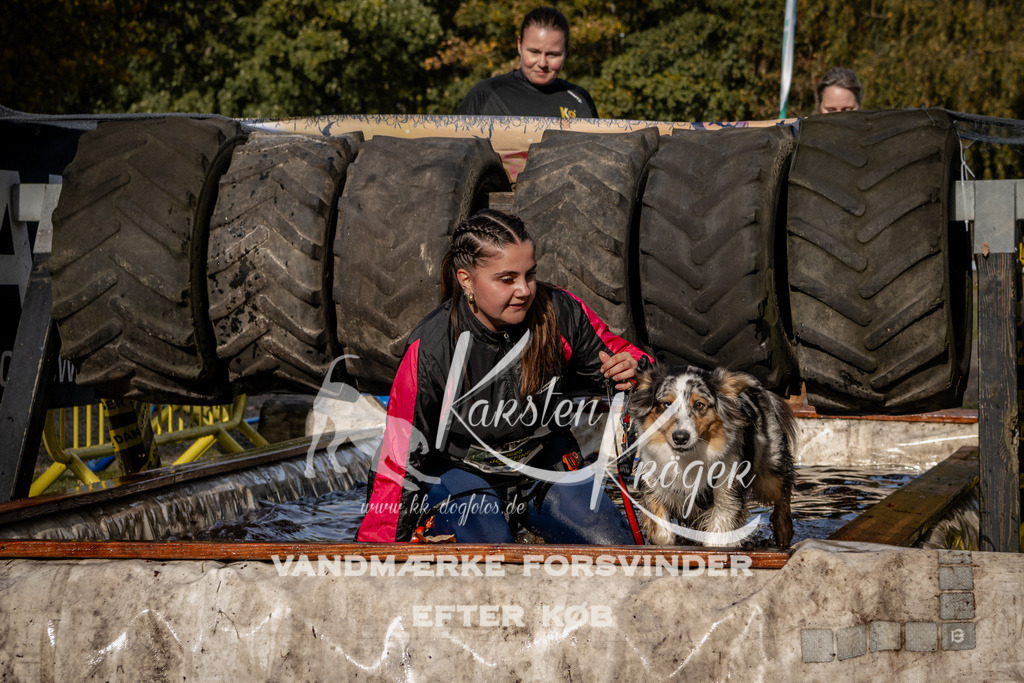 1359_ZZ93630 | kk-dogfotos