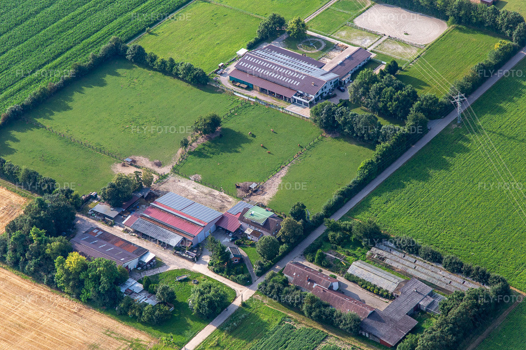 Luftbild: Rosenhof und Eichenhof, Seither in Ottersheim bei Landau im Bundesland Rheinland-Pfalz in Deutschland. Foto: IMG_142874.jpg vom 19.07.2024 durch Werner Riehm/FLY-FOTO.de