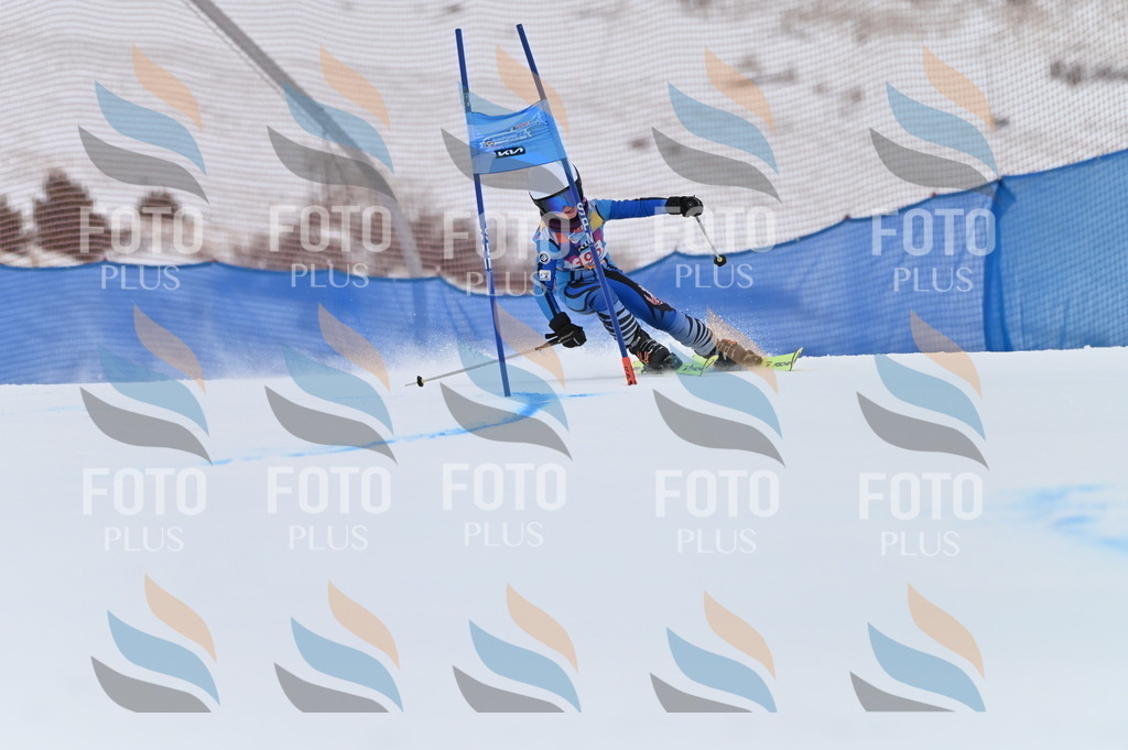 BGV_1664 | holidayphoto