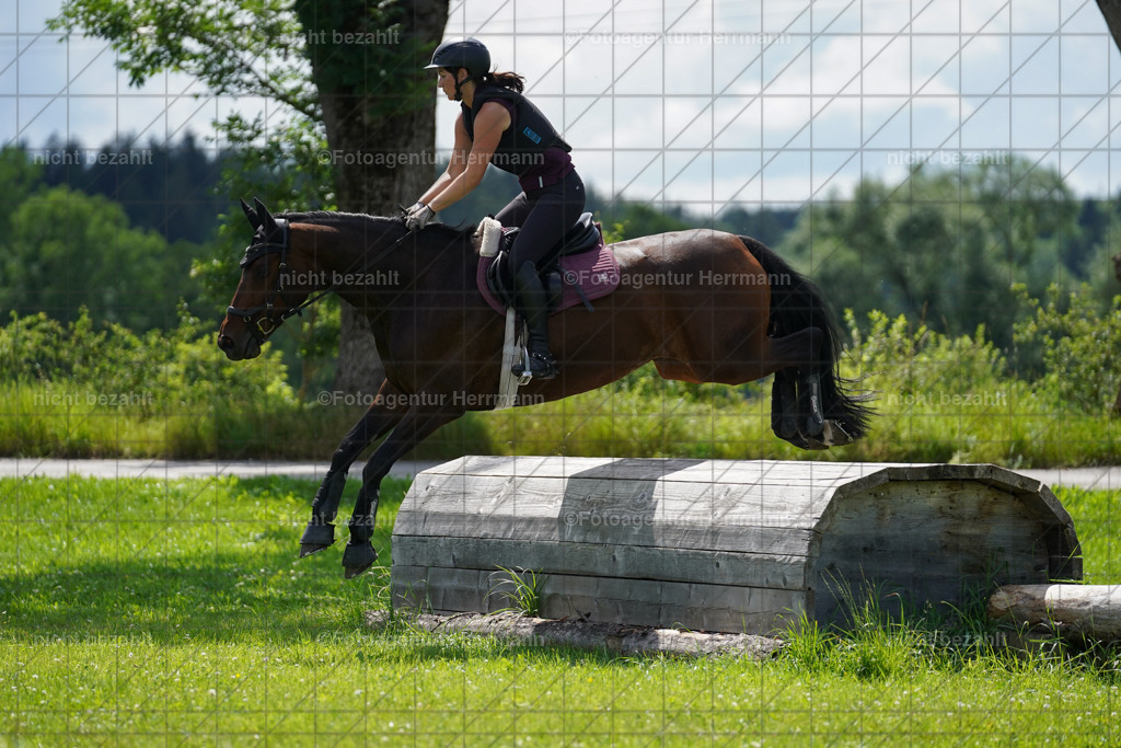 20240622-FAH07760 | Turnierfotografen Bayern, Reitsportbilder aus dem Geländekurs mit Felix Etzel auf dem Gut Waitzacker 2024