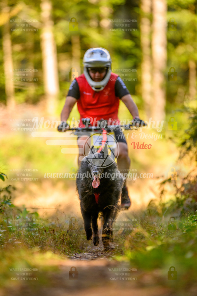 MompixPhotography_Yens2025_B1-88 | PayLife