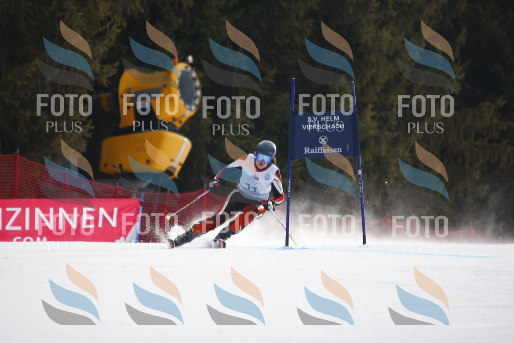 D4720 | holidayphoto