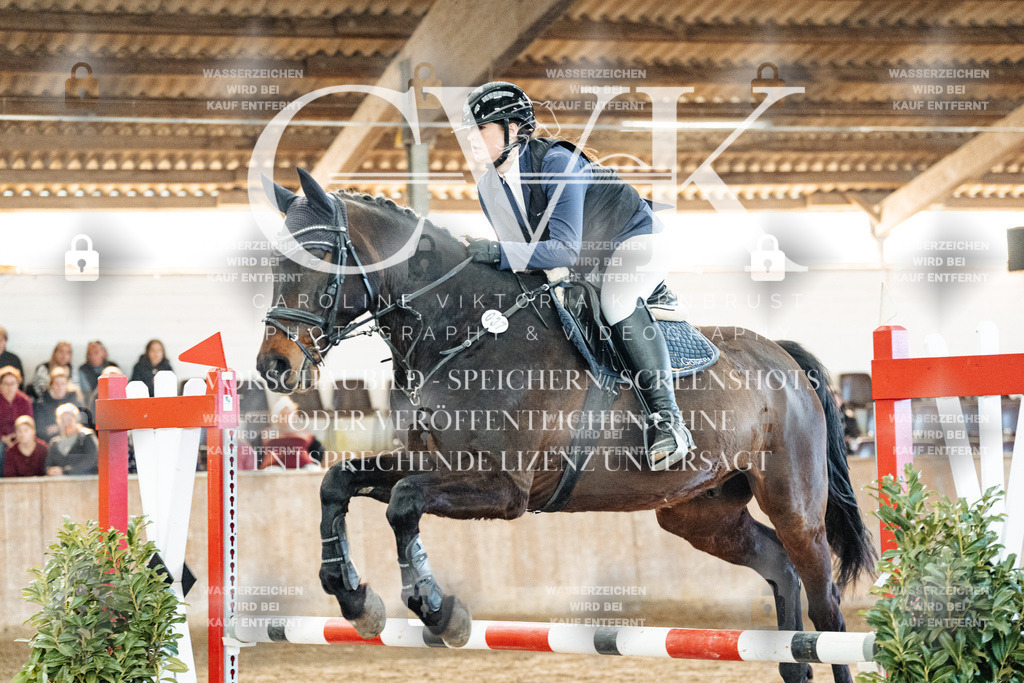CK904267 | Turnierfotografie Pferdefotografie Trier Rheinland-Pfalz Pferdesport Reitsport Tierfotografie Sportfotografie Pferdevideo Pferdevideografie Equestrianvideography equestrianphotography  - Realized with Pictrs.com