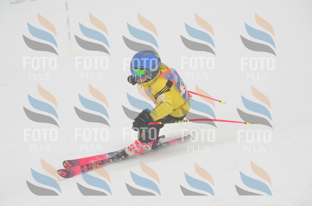 C0841 | holidayphoto