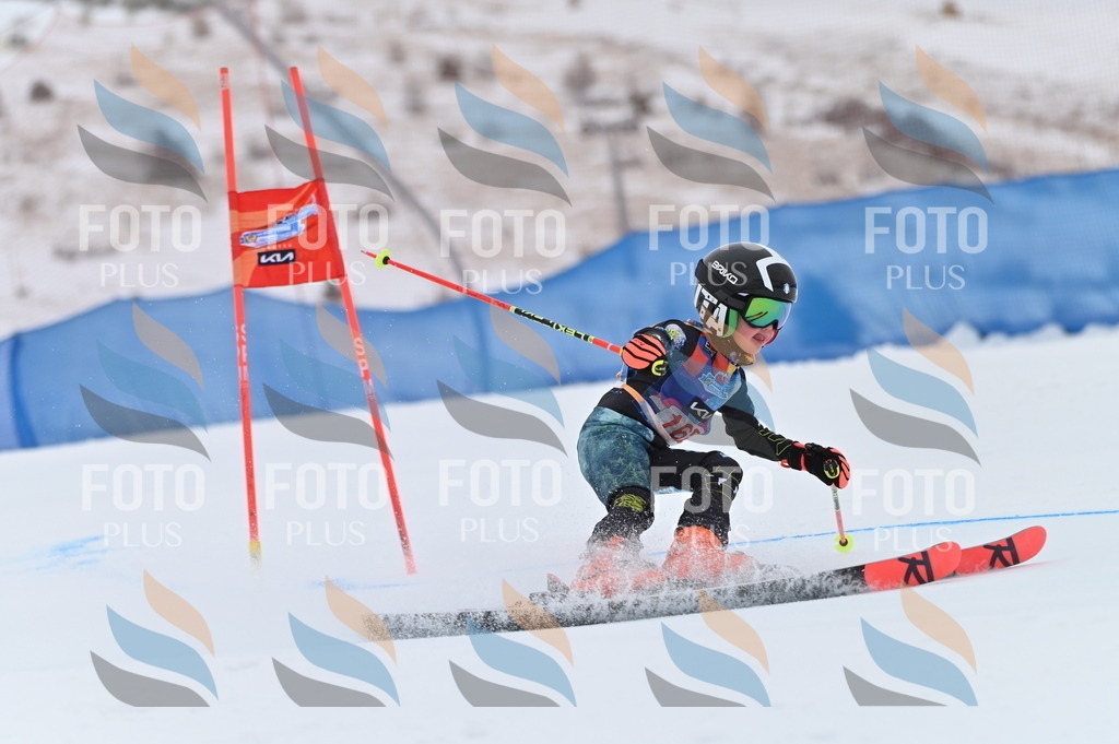 BGV_0224 | holidayphoto