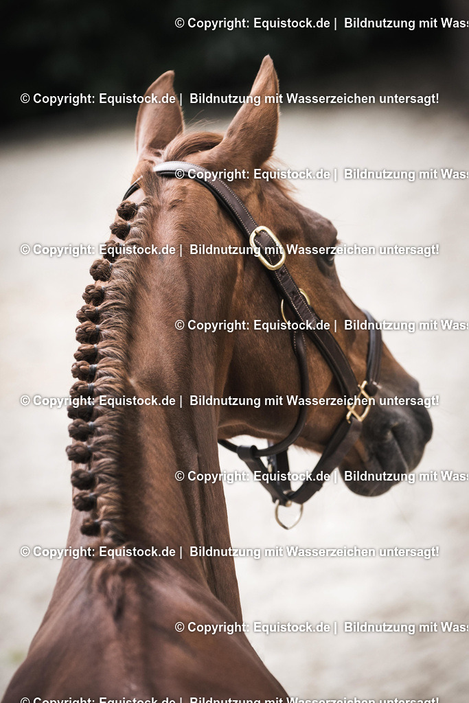 TS_20170501_Eingeflochtene_M__hne_0007 | Foto: Thomas Hartig