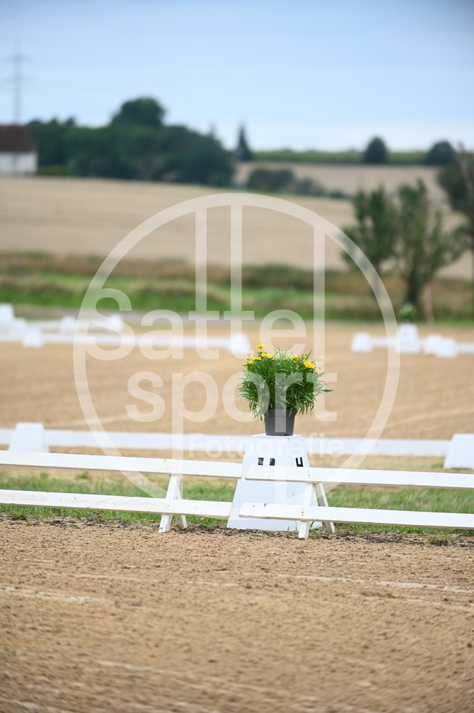 DSC_4202 | sattelsport - Realisiert mit Pictrs.com