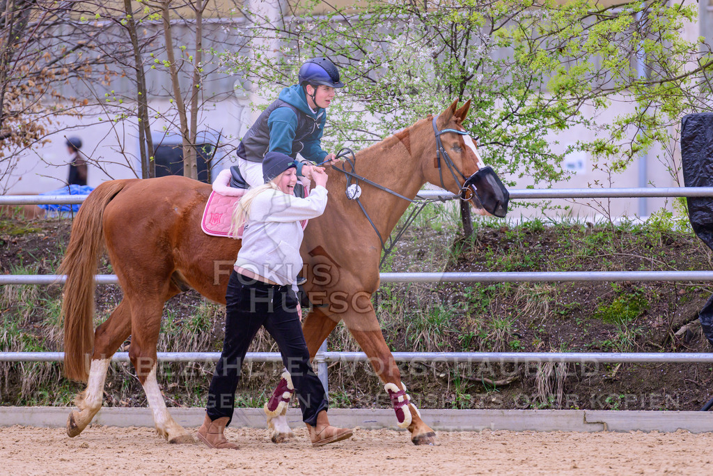 12042026-Mammendorf-Prfg40-1144 | Fokus Hufschlag Fotografie - Realisiert mit Pictrs.com