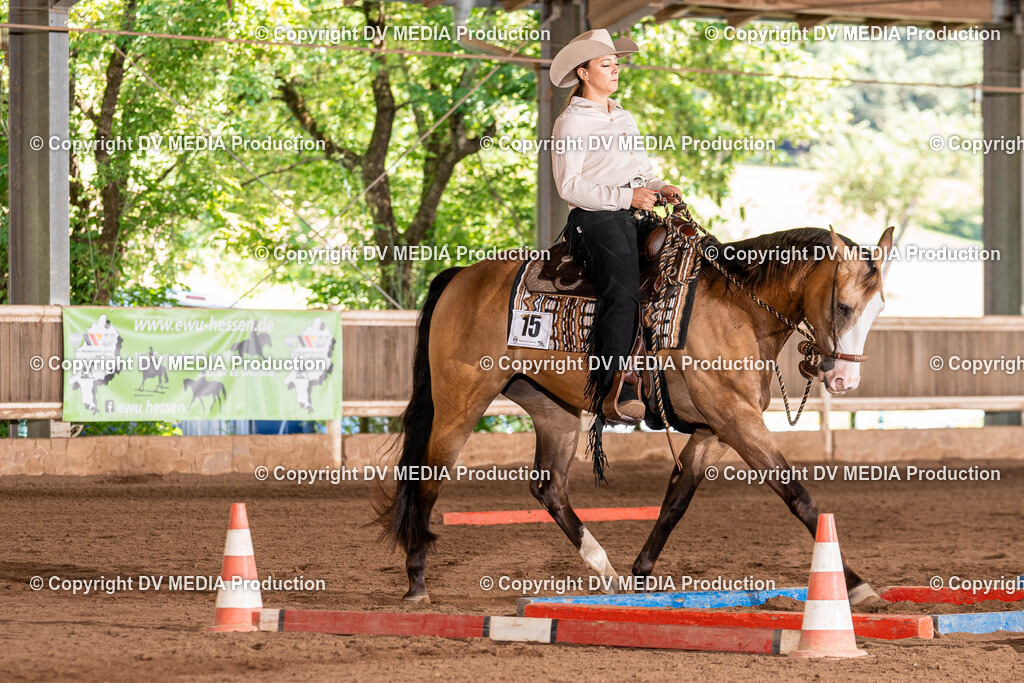 Erbach Tag 2-623 | dv-media-shop - Realisiert mit Pictrs.com