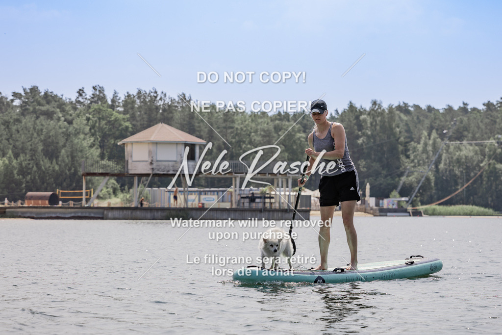 BUHU_SUP_661 | nelerasche