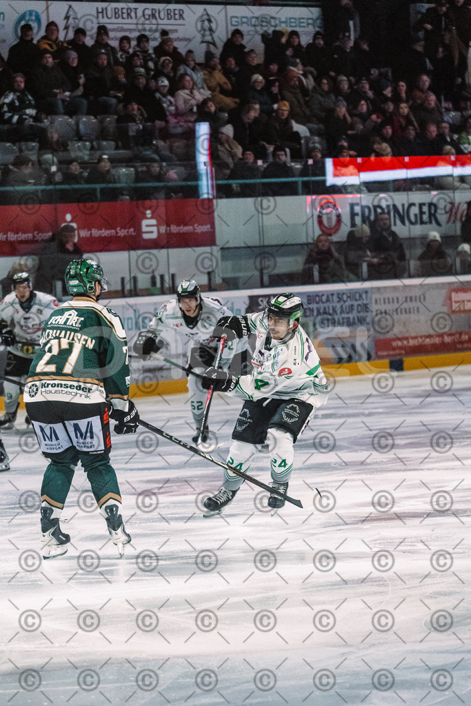 Erding_vs_Alligators_02_01_2026-55 | Höchstadt Alligators Fotogalerie: Eishockey-Action aus Franken. Professionelle Spielfotos, Portraits & Stadionbilder zum Download. Jetzt entdecken! - Realisiert mit Pictrs.com