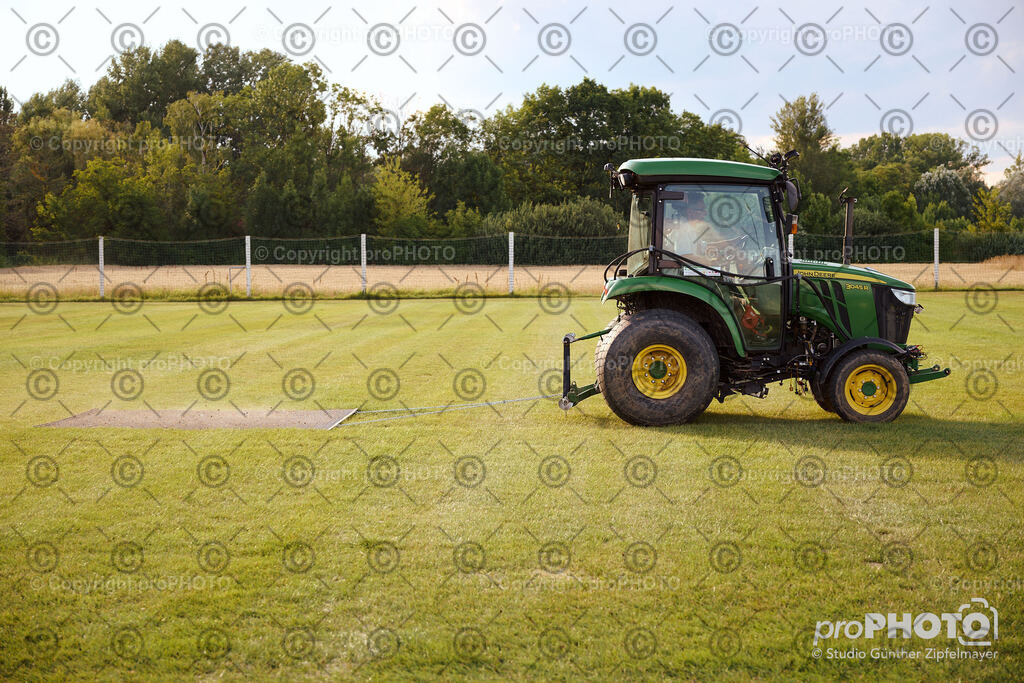 202507_Rernböck-Rasen_NZ9_1299 | proPHOTO - Realisiert mit Pictrs.com