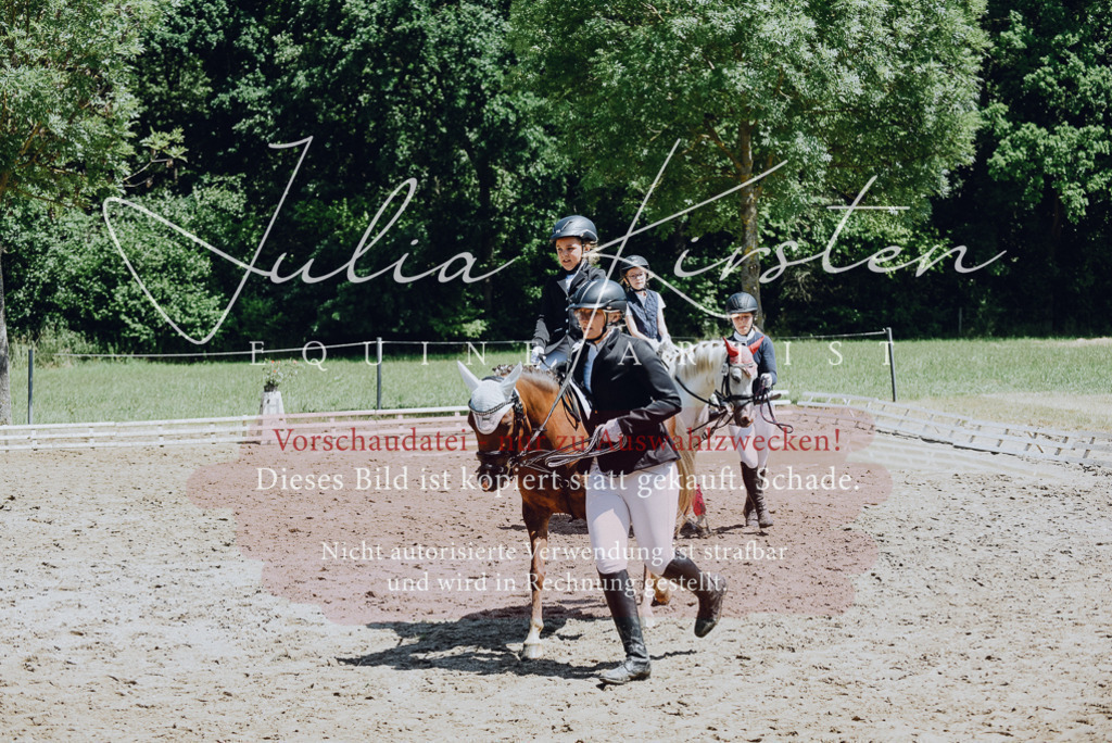 DSC_2615 | Pferde- und Turnierfotografie in Westsachsen. Pferdeportraits, Auftragszeichnungen und intuitive Kunst.