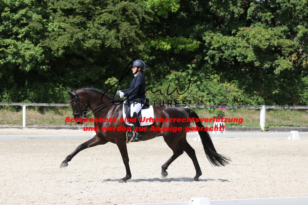 IMG_7265 | lmwpictures - Realisiert mit Pictrs.com