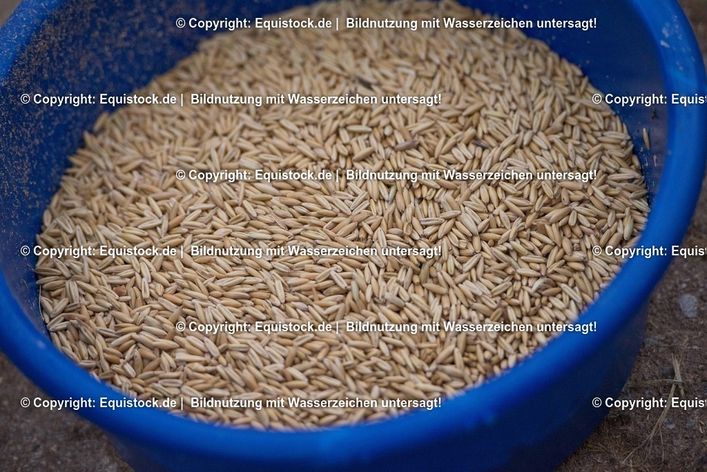 20170118_Hafer_0004 | Foto: Thomas Hartig