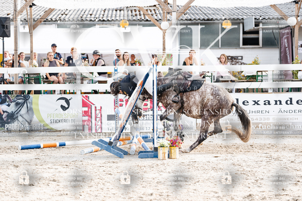 CK907038 | Turnierfotografie Pferdefotografie Trier Rheinland-Pfalz Pferdesport Reitsport Tierfotografie Sportfotografie Pferdevideo Pferdevideografie Equestrianvideography equestrianphotography  - Realisiert mit Pictrs.com