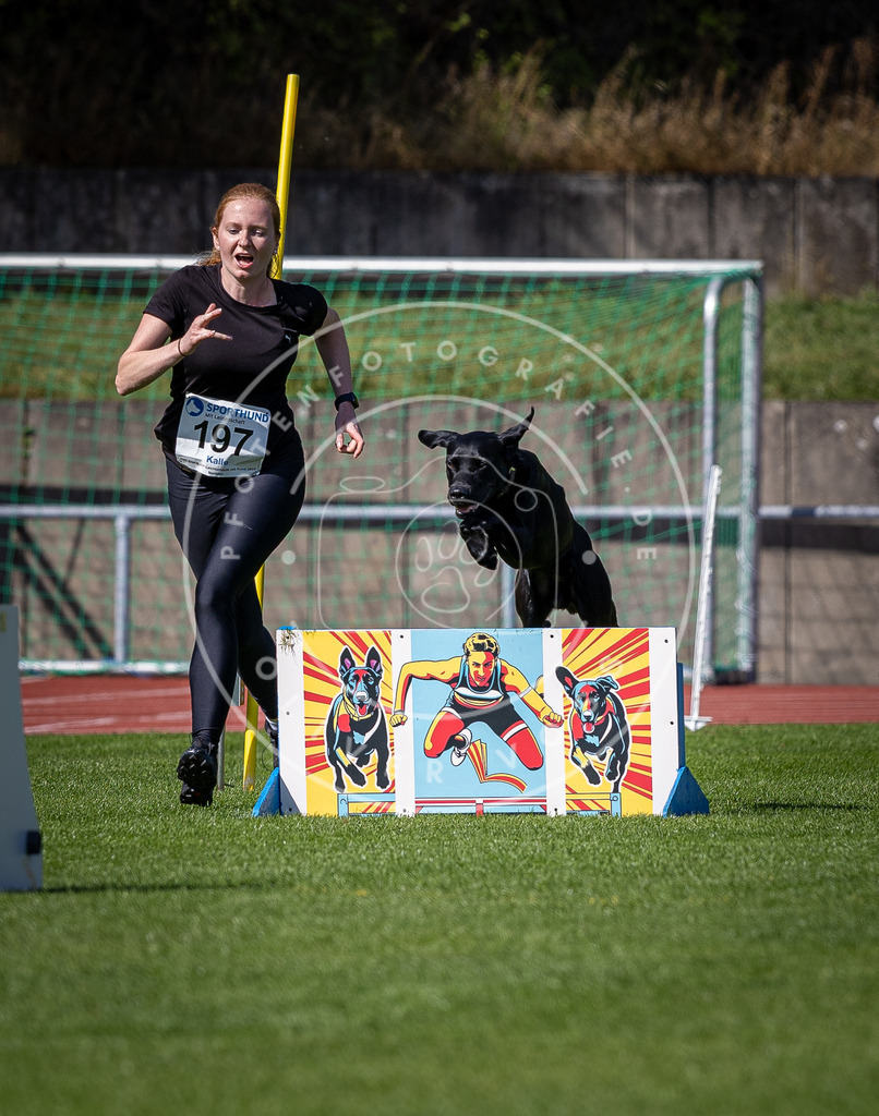 Pfotenfotografie_DV3A0809 | Hundefotografie, Tierfotograf, Pfotenfotografie, Fotoshooting Hund, Hunde Portrait, Hundesport, Hundeportraits, Heideshooting, Hunde, Sportfotograf, Hundefotograf, Turnierhundsport, THS,  - Realisiert mit Pictrs.com