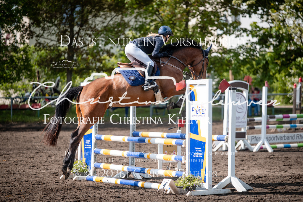 DSC_0763 | Christina-Kleuver