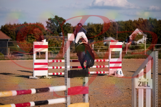 2026_10_03_Siefer-Hof_171553_Z81_13638986 | Professionelle Reitsport-, Turnier- und Eventfotografie von Robert Broda. Galerien mit ausgewählten und bearbeiteten Bildern direkt online ansehen und bestellen.