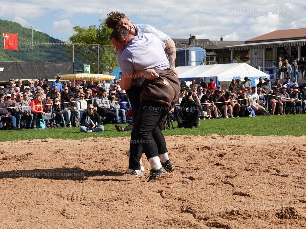 DSC07099 | Schwingen - Realisiert mit Pictrs.com