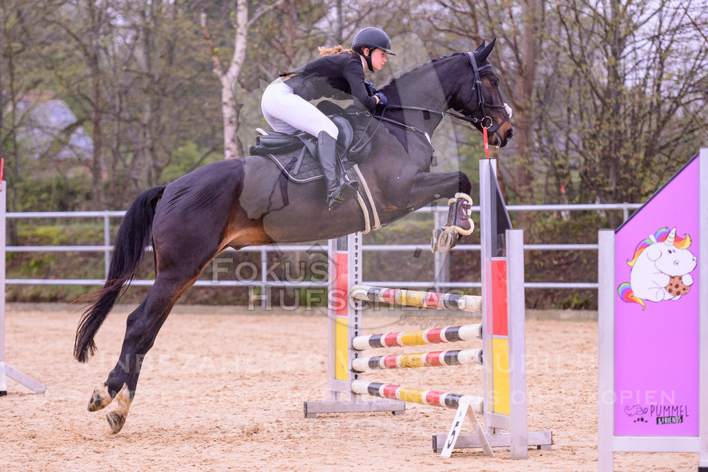 12042026-Mammendorf-Prfg38-0358 | Fokus Hufschlag Fotografie - Realisiert mit Pictrs.com