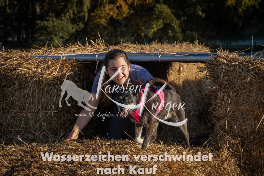 0931_ZZ93276 | kk-dogfotos