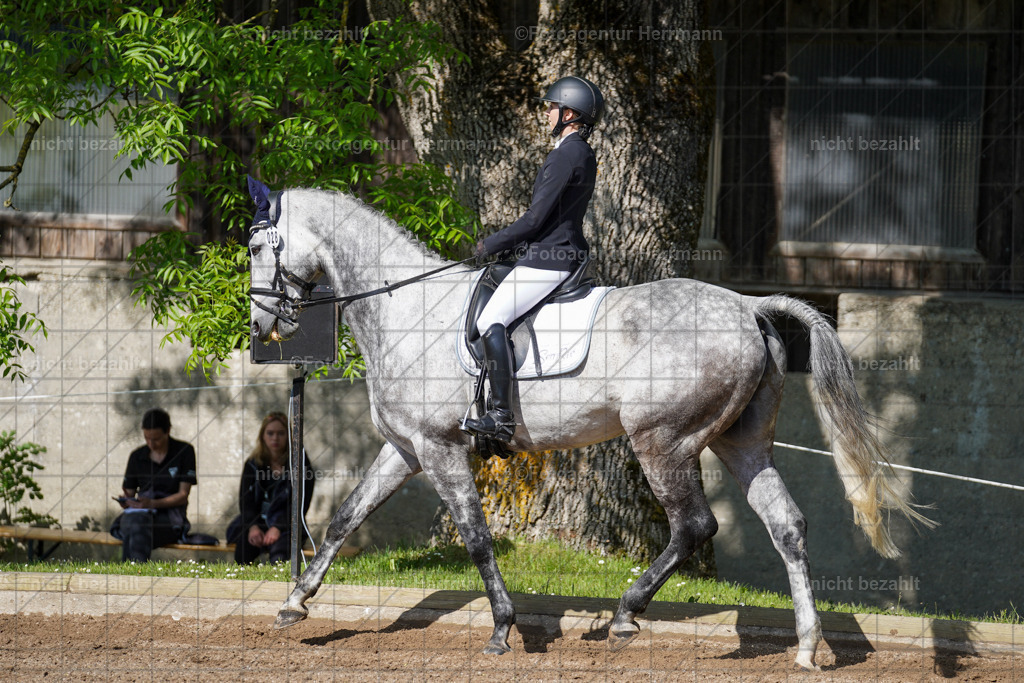 20240519-FAH04641 | Turnierbilder Niederseeon 2024, Vielseitigkeitsdressur, Reitsportbilder aus dem Landkreit Ebersberg, Gut Steinsee, RC Steinsee, Fotoagentur Herrmann