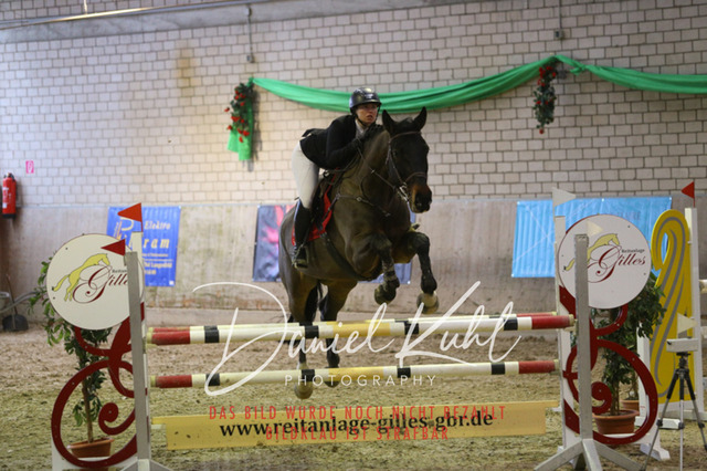 IMG_0901 | Turnierfotos kaufen im Webshop von Daniel Kuhl Photography – entdecke professionelle Reitsportfotos aus Turnieren & Events. Hochwertige Turnierbilder online bestellen & sichern. Jetzt Fotos von Reitsportturnieren kaufen!