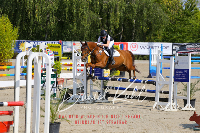 Gut Blee25_Amateuer Stilsprpfg Kl A_0309 | Turniersportfotografie; Pferdefotografie; Dressurfotografie