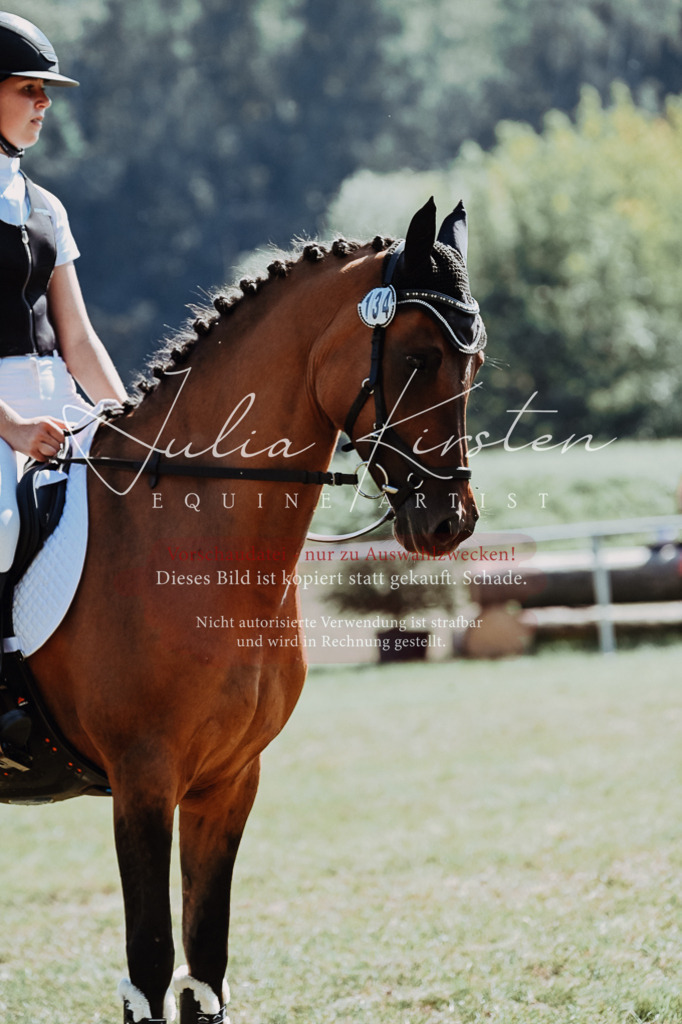 DSC_6265 | Pferde- und Turnierfotografie in Westsachsen. Pferdeportraits, Auftragszeichnungen und intuitive Kunst.