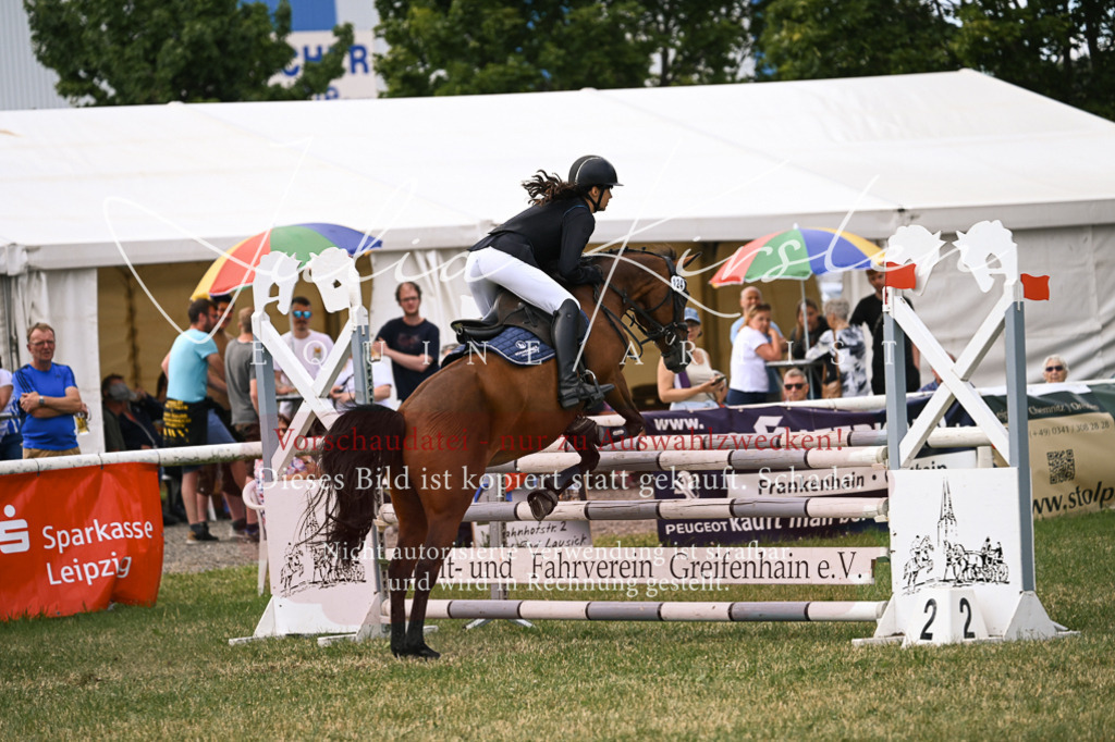 DSC_0655 | Pferde- und Turnierfotografie in Westsachsen. Pferdeportraits, Auftragszeichnungen und intuitive Kunst.