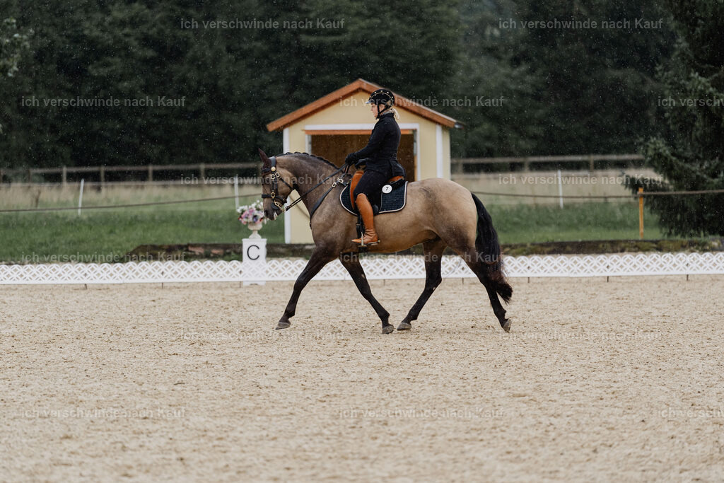 Katja7_FHC2025-8479 | working equitationturnier fotograf videograf stoibphotography marixx film working equitation deutschland reitsport turnierfotografie eventfotografie equestrian events