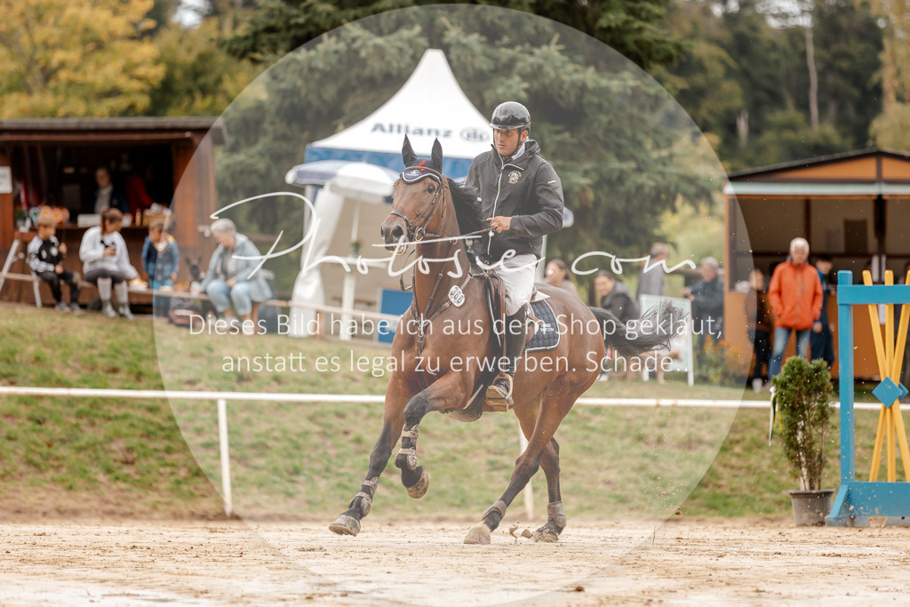 3I6A8010 | Stimmungsvolle Portraits und Reitsportfotografie im Ruhrgebiet und im Münsterland.

Pferdefotografie, Hundefotografie, Tierfotografie, Reportagen, Portraits von Tier und Mensch, Turnierfotografie in Bochum, Recklinghausen, Marl, Haltern am See, Dülmen.. - Realisiert mit Pictrs.com