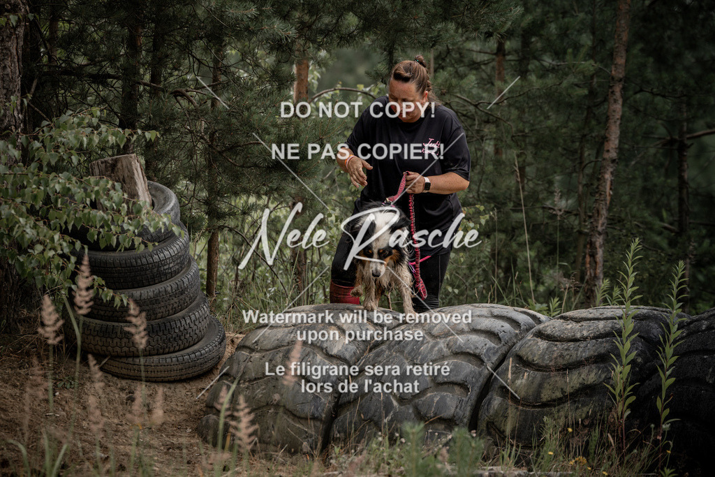 nelerasche_sa1100-1200_339 | nelerasche