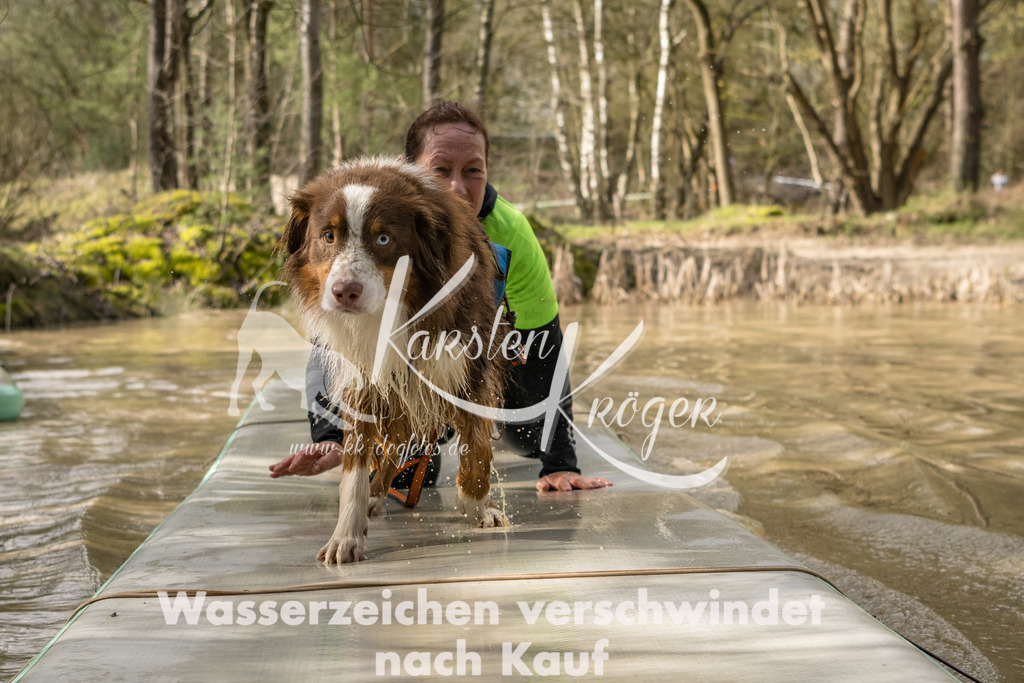 1015_ZZ92796 | kk-dogfotos