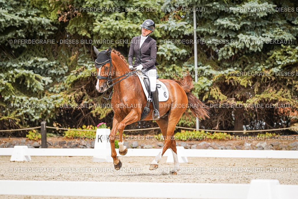 DSC05292 | Pferdegrafie