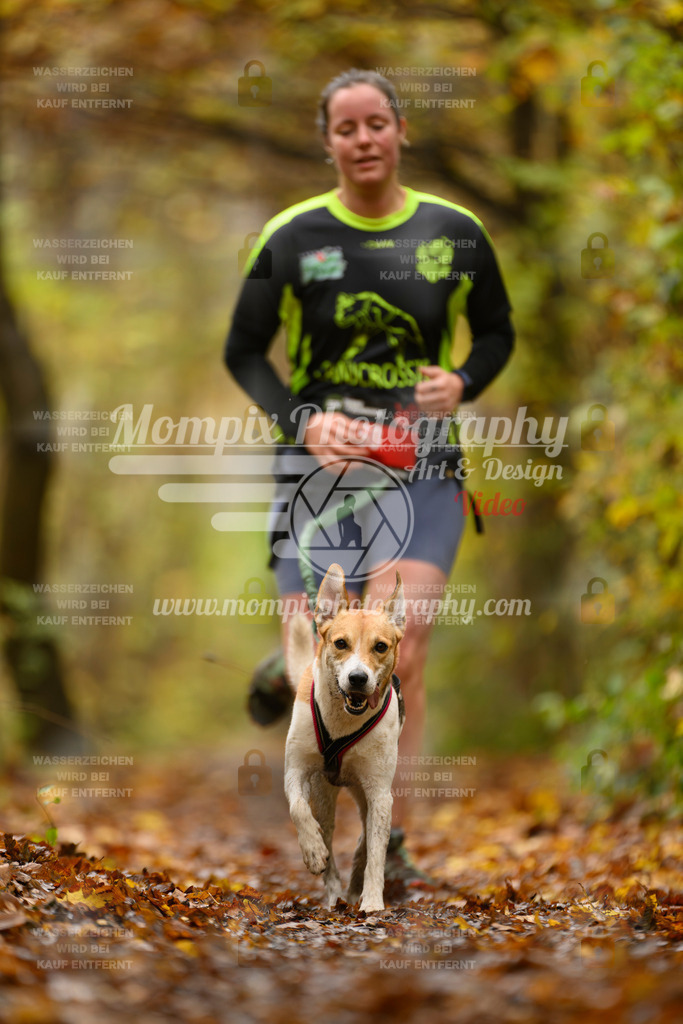 MompixPhotography_CD7S_DI_CCL-35 | mompixphotography