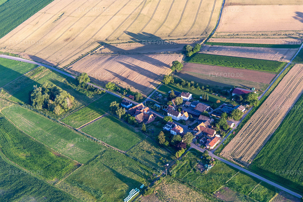 Luftbild: Ortsansicht von Norden im Ortsteil Deutschhof in Kapellen-Drusweiler im Bundesland Rheinland-Pfalz in Deutschland. Foto: IMG_142386.jpg vom 08.07.2024 durch Werner Riehm/FLY-FOTO.de