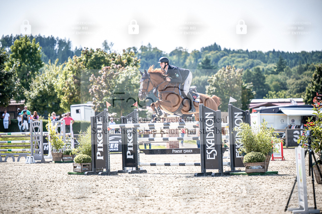 DOS_7022 | Entdecke hochwertige Reitturnierfotos von Foto Oger. Professionell, emotional und authentisch – jetzt Lieblingsmomente im Shop bestellen. - Realisiert mit Pictrs.com