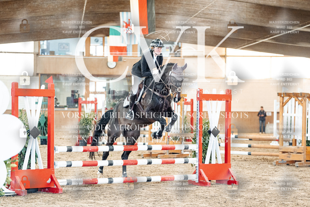 CK903888 | Turnierfotografie Pferdefotografie Trier Rheinland-Pfalz Pferdesport Reitsport Tierfotografie Sportfotografie Pferdevideo Pferdevideografie Equestrianvideography equestrianphotography  - Realized with Pictrs.com