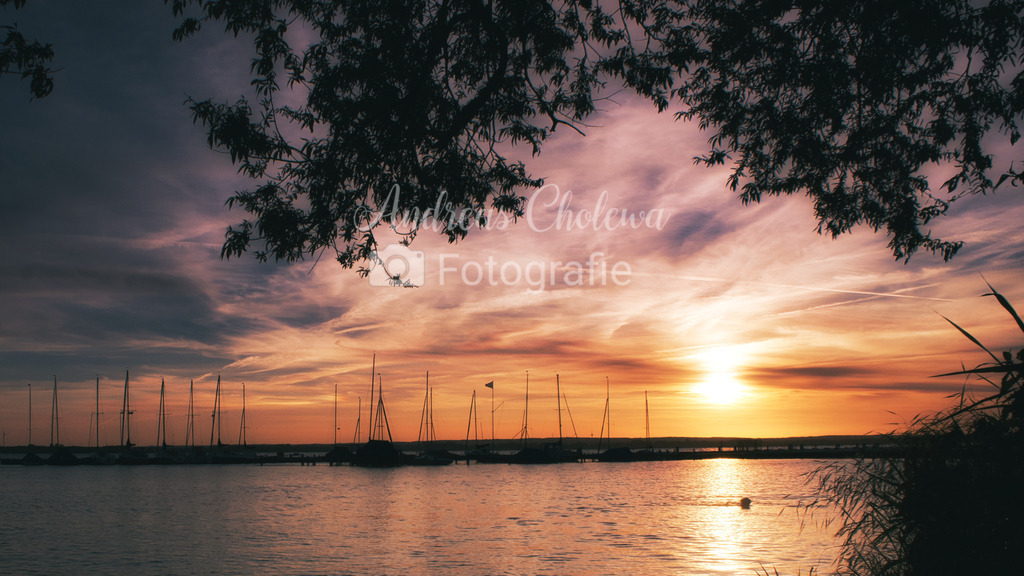 Sonnenuntergang am Dümmer | Ein wunderschöner Sonnenuntergang am Dümmer in Niedersachsen im Landkreis Vechta
Jetzt als hochwertigen Druck auf Acrylglas bestellen - Realisiert mit Pictrs.com