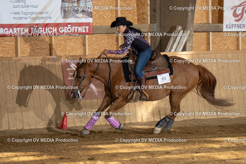 DSC00450 | dv-media-shop - Realisiert mit Pictrs.com