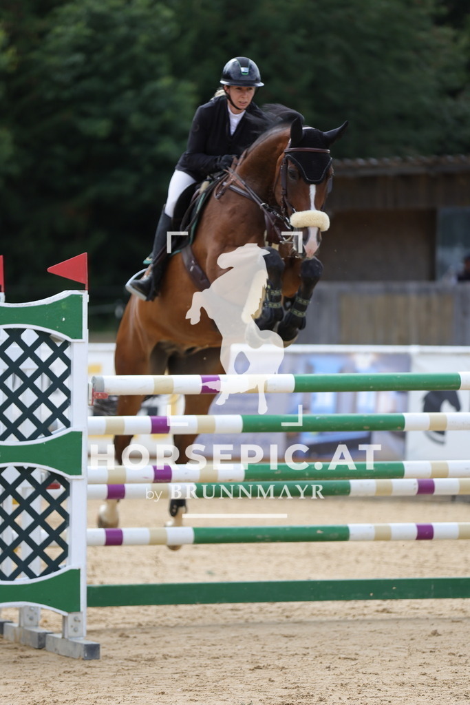 0P6A5570 | Willkommen bei Brunnmayr - Design & Fotografie – Ihrem Spezialisten für Reitturniere und Pferdeveranstaltungen in Oberösterreich, Salzburg und Bayern! Seit über 17 Jahren sind wir leidenschaftlich dabei.