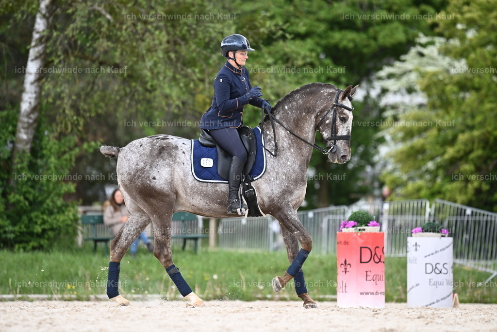 PI26_ST_Sara_Landvogt226_3250.JPG | working equitationturnier fotograf videograf stoibphotography marixx film working equitation deutschland reitsport turnierfotografie eventfotografie equestrian events