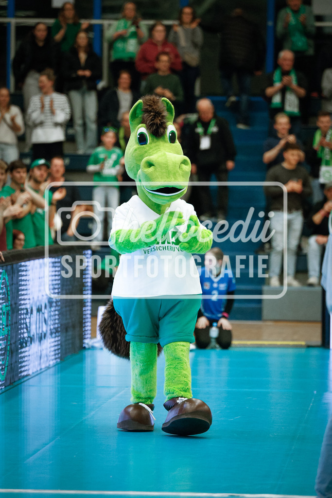 Volleyball I Frauen I Saison 2025-2026 I Bundesliga I Playoff-Viertelfinale 2 I USC Münster - Dresdner SC-117 | realhellocedii - Realisiert mit Pictrs.com