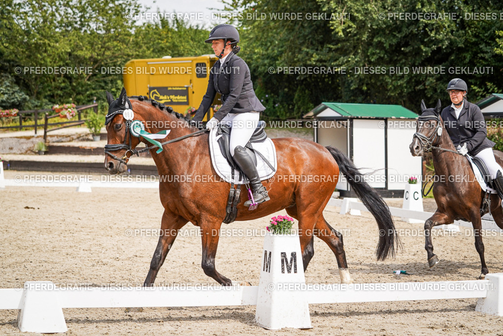 DSC04665 | Pferdegrafie