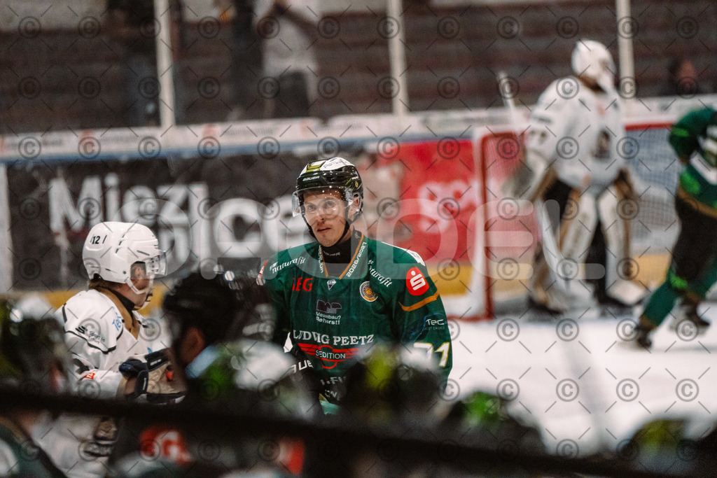 Alligators_vs_Erfurt_06_09_2026-33 | Die Fotogalerie von Daddel: professionelle Bilder von Sport, Events und Unternehmen aus Franken. Jetzt Galerien durchstöbern und Lieblingsfotos bestellen. - Realisiert mit Pictrs.com