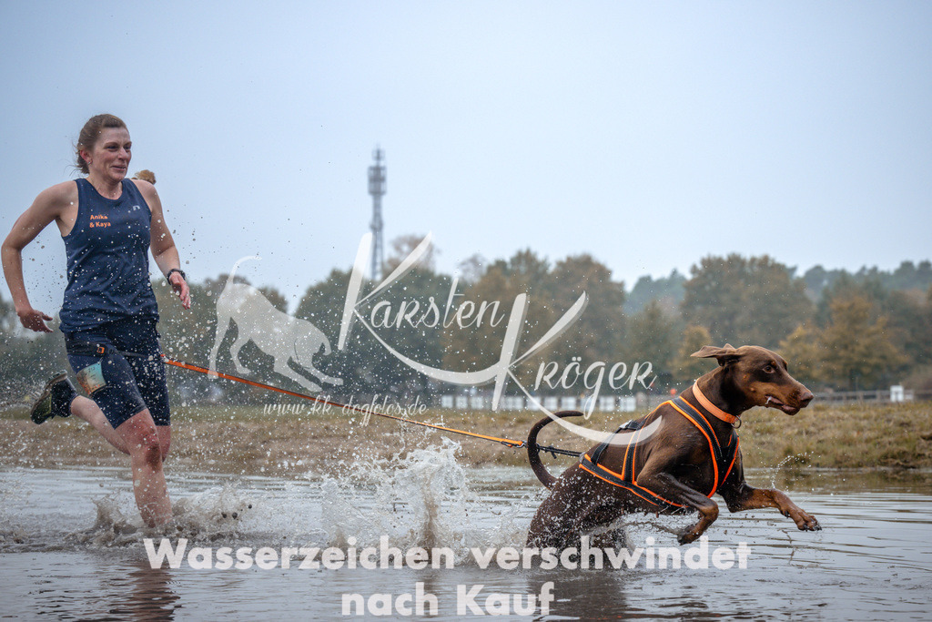 1027_ZZ99786 | kk-dogfotos