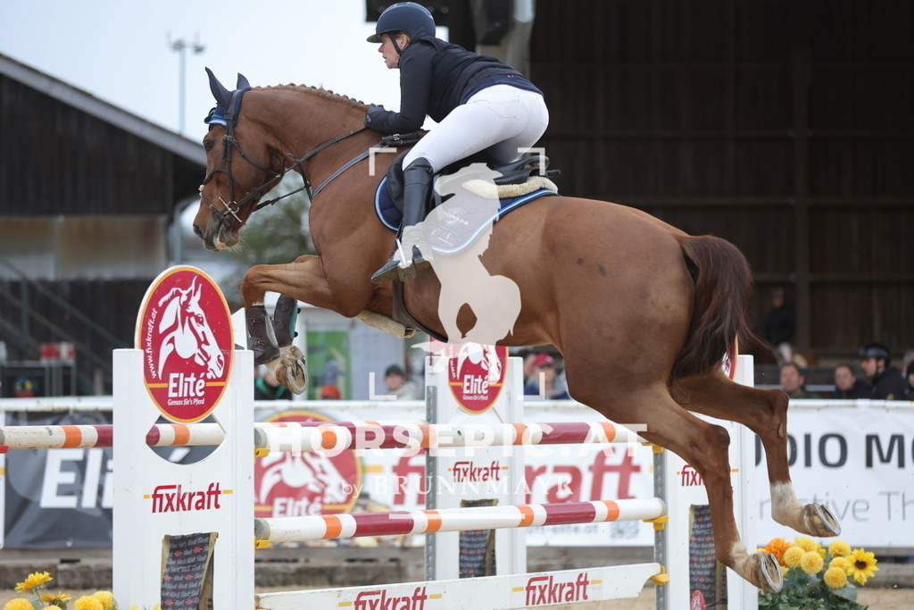 0P6A5371 | Willkommen bei Brunnmayr - Design & Fotografie – Ihrem Spezialisten für Reitturniere und Pferdeveranstaltungen in Oberösterreich, Salzburg und Bayern! Seit über 17 Jahren sind wir leidenschaftlich dabei.